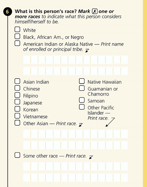 2000 US Census Form